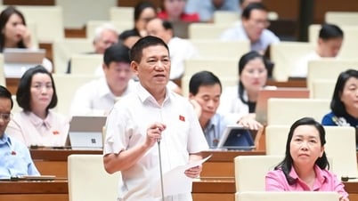 Phó Thủ tướng Hồ Đức Phớc: Nên áp dụng thuế khoán đối với hộ kinh doanh, buôn bán nhỏ, doanh thu dưới 1 tỷ đồng