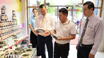 Chỉ thị về nhiệm vụ, giải pháp xúc tiến thương mại trong và ngoài nước
