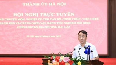 Hà Nội: Tổ chức bộ máy, cán bộ của 126 xã, phường hình thành sau ngày 19-6