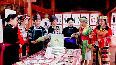 결의안 제07호의 실질적인 변경