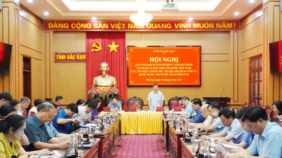 Hội nghị Ban chỉ đạo về sắp xếp đơn vị hành chính