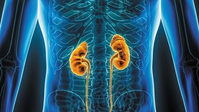COVID-19ワクチンは重度の腎障害のリスクを軽減