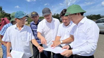 Prüfung der Ausgleichs- und Räumungsarbeiten für 6 Projekte