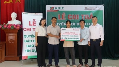 Chi trả 155 triệu đồng cho khách hàng tham gia bảo hiểm Bảo an tín dụng