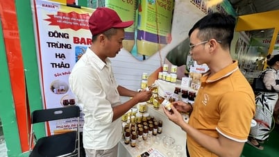 L'agriculture urbaine associée à l'intégration de l'ASEAN