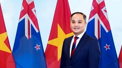 เอกอัครราชทูต Phan Minh Giang: เวียดนามและนิวซีแลนด์ก้าวเดินเคียงคู่กันและก้าวเข้าสู่ยุคใหม่ของความร่วมมืออย่างมั่นคง