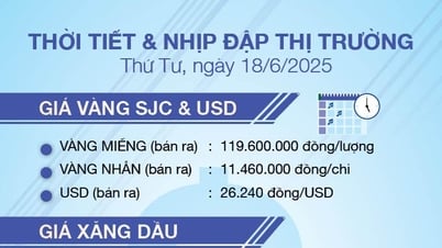 Thời tiết & nhịp đập thị trường 18/6