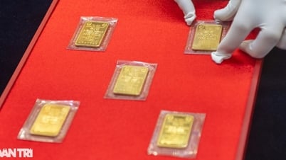 SJCの金塊が1億2000万ベトナムドン/タエルに迫る