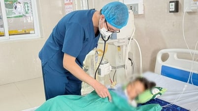 Змея Крайт выползла из кондиционера и укусила маленькую девочку, смертельно ранив ее