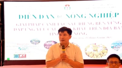 Forum on durian production according to value chain in Dak Nong