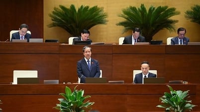 Chỉ 5% trong 52.000 trường phổ thông có nhân viên tư vấn tâm lý trường học