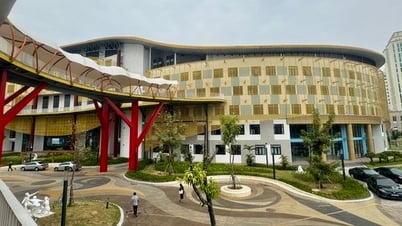 توجيهات بشأن ترتيب وإعادة تنظيم شبكة وحدات الخدمة العامة في مجالات الثقافة والرياضة والسياحة