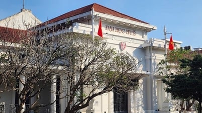 Báo cáo Bộ GD-ĐT vụ luận án tiến sĩ ở Huế bị tố đạo văn