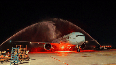 'Golden flight route' makes Da Nang a new destination for the Middle Eastern elite