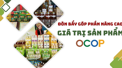 Leverage contributes to increasing the value of OCOP products