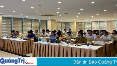 Zusammenfassung des VFBC-Projekts in der Provinz Quang Tri