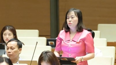 National Assembly Delegate: What should State-owned enterprises do to contribute to 8% growth?
