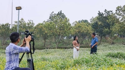จาก “การจัดซื้อจัดจ้างในครัวเรือน” สู่เกษตรกรรมไฮเทค: การเดินทางแห่งนวัตกรรมผ่านมุมมองของการสื่อสารมวลชน