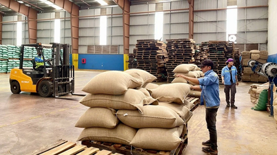 Las exportaciones aspiran a alcanzar los 1.000 millones de dólares