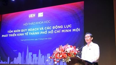 Workshop "Economic development drivers for the new Ho Chi Minh City"