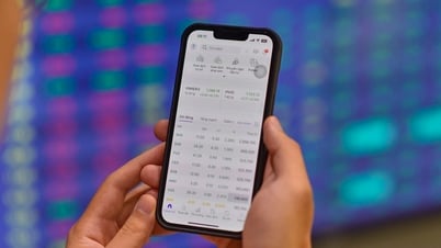 تم تعليق شركة فيتكاب من الحراسة على الأوراق المالية لمدة 3 أيام، وتم توبيخ شركة في إن دايركت