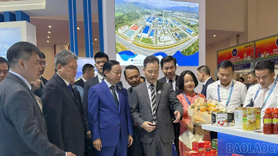 Quảng bá hình ảnh Lào Cai và mở rộng giao thương cho doanh nghiệp tại Hội chợ triển lãm Trung Quốc - Nam Á