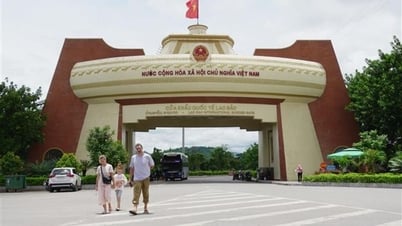 Dừng thực hiện thủ tục 'một cửa, một lần dừng' tại cặp cửa khẩu quốc tế Lao Bảo - Densavan