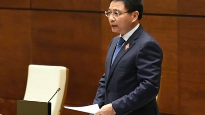 전자상거래 분야의 세무를 단호하게 관리합니다