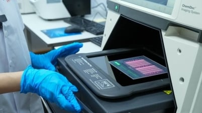 Innovación en la investigación científica para elevar la medicina vietnamita