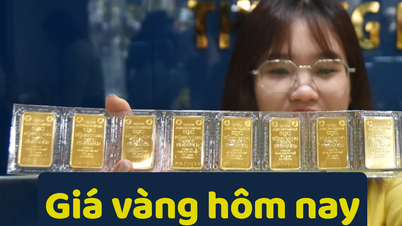 Gold price today June 19, 2025: Domestic and world gold prices are still waiting for economic information from the US