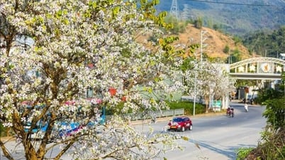 Viele attraktive Aktivitäten beim Northwest Quintessence Festival – Dien Bien im Jahr 2025