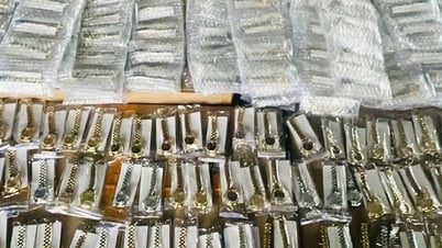 450 fake Rolex watches worth 45 billion VND seized at Tra Linh border gate