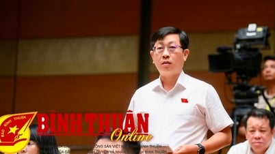 Chất vấn Bộ trưởng Bộ Tài chính về hiệu quả quản lý thuế trong lĩnh vực thương mại điện tử