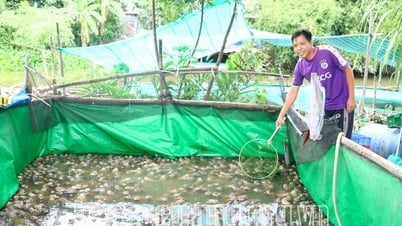គាំទ្រសមាជិក និងកសិករដើម្បីអភិវឌ្ឍសេដ្ឋកិច្ច