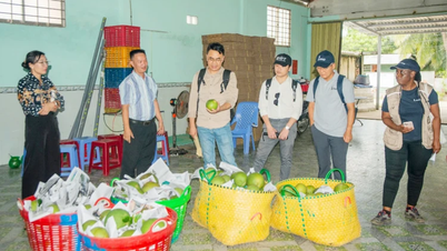 Dự án Phát triển chuỗi giá trị nông nghiệp thông minh thích ứng biến đổi khí hậu tại tỉnh Bến Tre