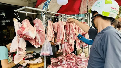 Precio del cerdo hoy 19 de junio: dejó de caer