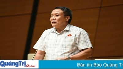 ĐBQH Hà Sỹ Đồng chất vấn Bộ trưởng Bộ Tài chính về vai trò của doanh nhân