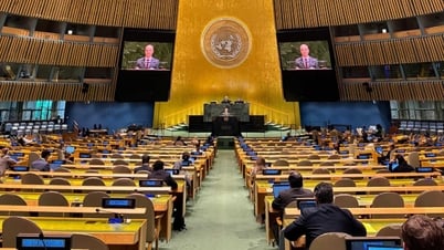 Việt Nam kêu gọi hành động quốc tế cấp bách để giải quyết khủng hoảng tại Gaza và Trung Đông