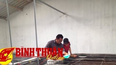 ការ​លុប​ចោល​ឧបសគ្គ​នៅ​ក្នុង​គម្រោង​តំបន់​ផលិត​ពូជ​ទឹក​ប្រមូលផ្តុំ Chi Cong