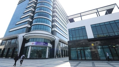 Thứ hạng đại học Việt Nam biến động bất ngờ trên các bảng xếp hạng đại học thế giới
