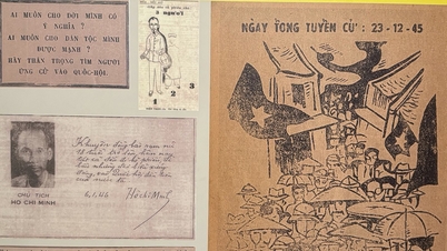 Vietnamese revolutionary press through a century