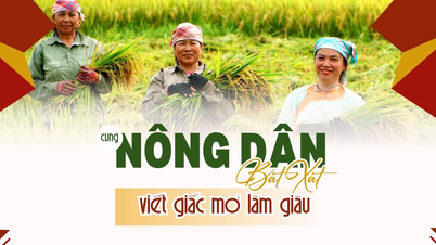Cùng nông dân Bát Xát làm giàu