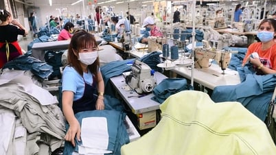 베트남 기업과 FDI 기업 간의 연계를 확대해야 합니다.