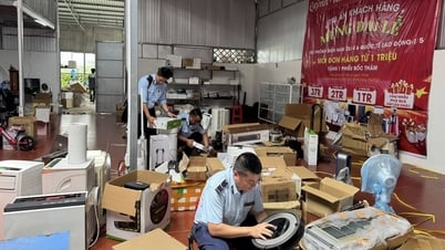 市場の「浄化」と消費者行動の変化