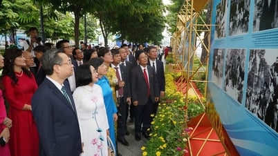 Zusammenfassung der Presseinformationen zu Ho-Chi-Minh-Stadt am 19. Juni 2025