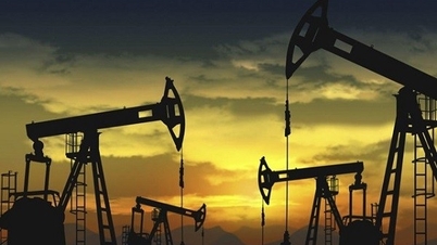 Part 2: Decoding tariff policy