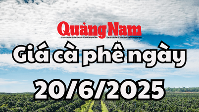 Tin tức, dự báo giá cà phê ngày mai 20/6/2025 khó phục hồi lại