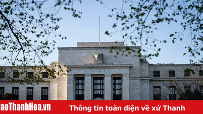 Phản ứng của thị trường sau khi Fed tiếp tục giữ nguyên lãi suất cơ bản