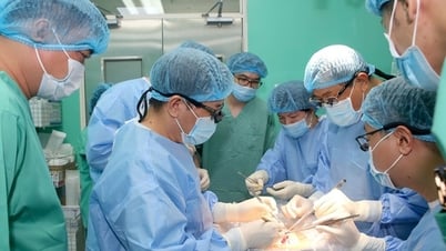 Bệnh viện Trung ương Huế đồng thời thực hiện thành công 4 ca ghép tim, gan, giác mạc xuyên Việt
