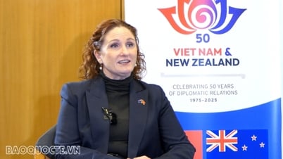 Ambassador Caroline Beresford: 50 years of planting for the Vietnam-New Zealand 'seed' to grow into a giant tree